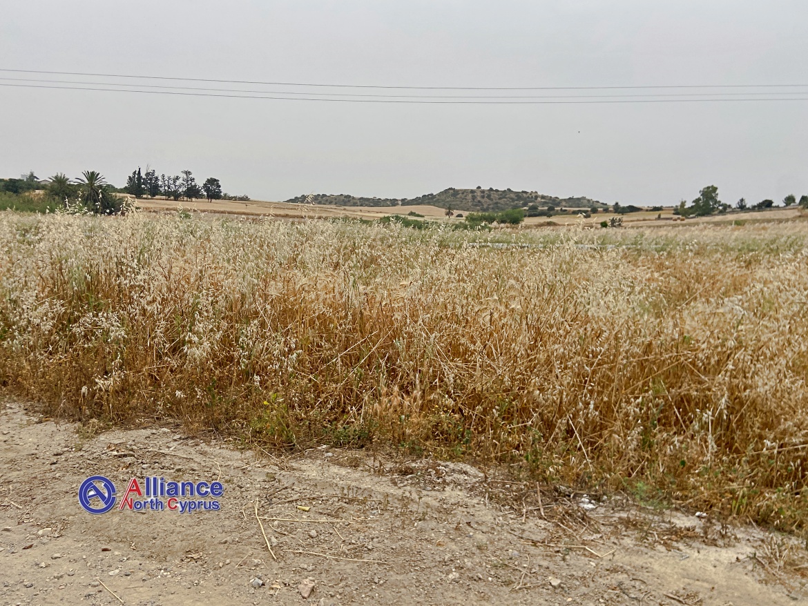 Sale of land in Iskele, Turkish title deeds
