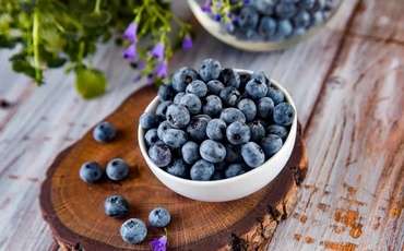 Blueberries can serve as an alternative crop for agriculture in Northern Cyprus